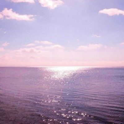 ky体育最新版下载地址截图